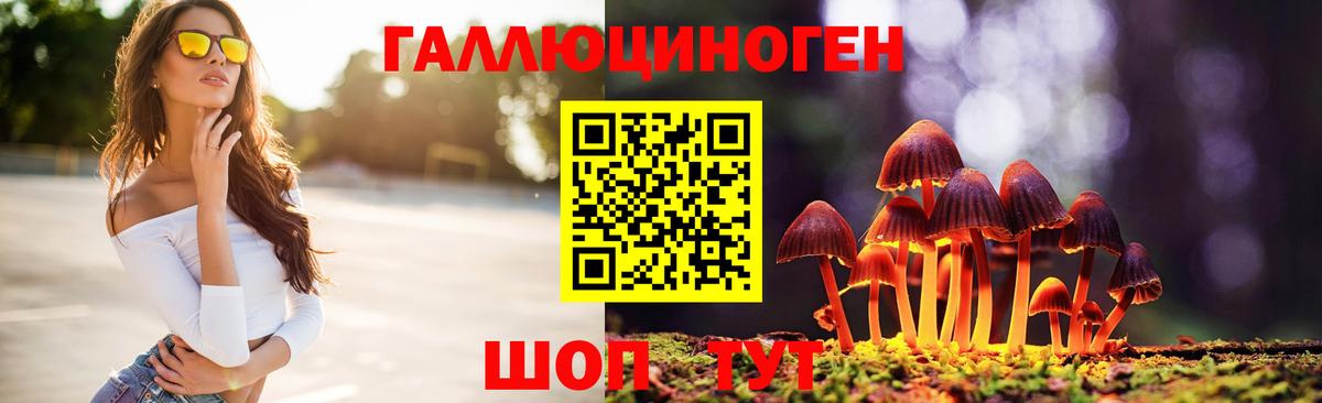Унеча  где купить   Вход с VPN  Галлюциногенные грибы Psilocybe 